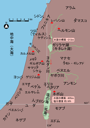 91n5X-8b8pL._UF350,350_QL50_.jpg